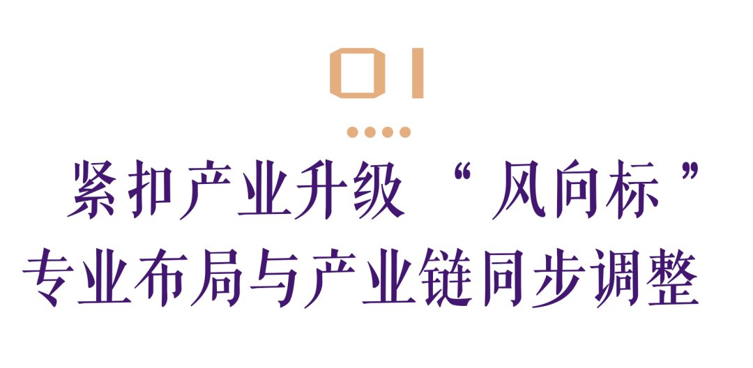 资源综合利用产业链