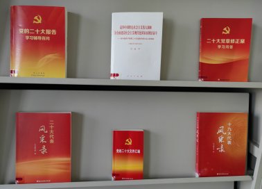 《二十大代表风采录》