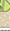 金莎直播TV版app下载成为世俱杯的